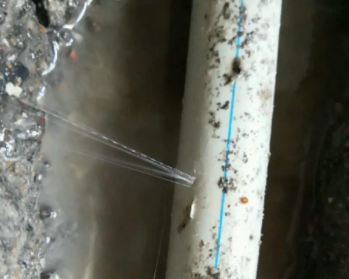 嵊州卫生间测漏水多少钱