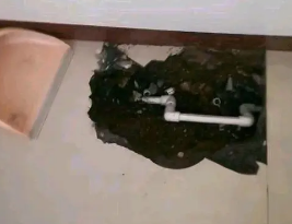 嵊州卫生间测漏水多少钱